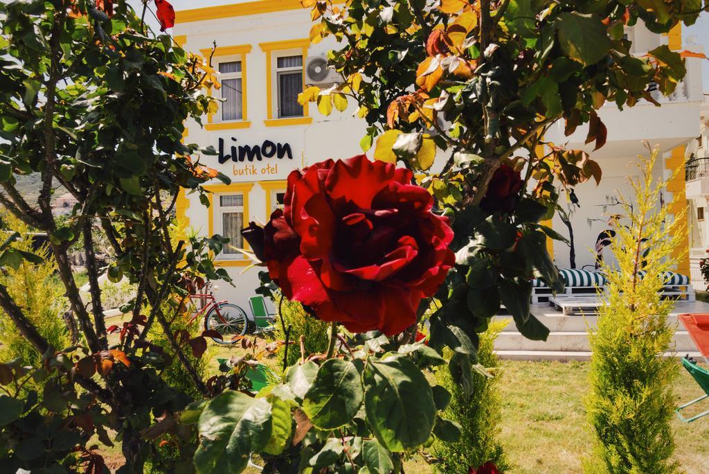 Frühstückspension Limon 3*